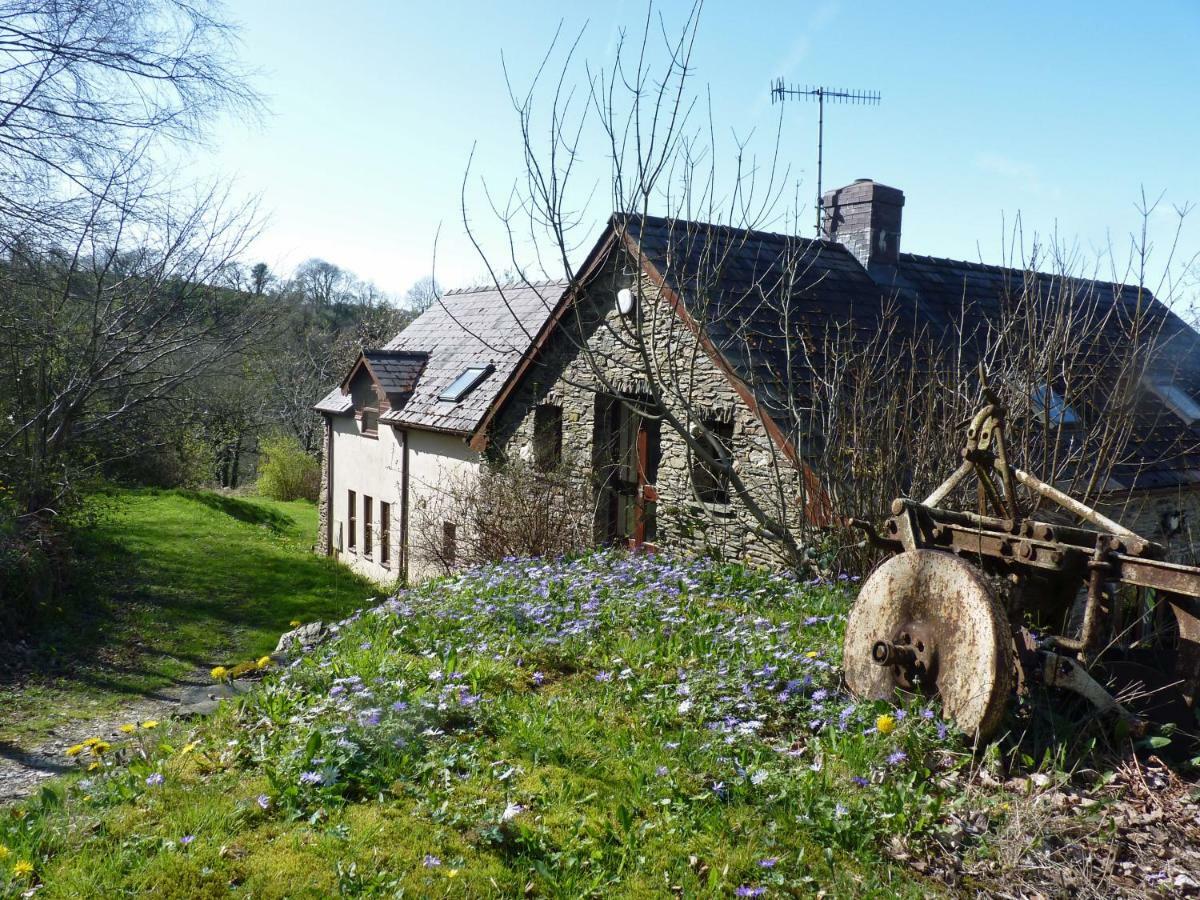 Llandysul Ceridwen Holiday Homes מראה חיצוני תמונה